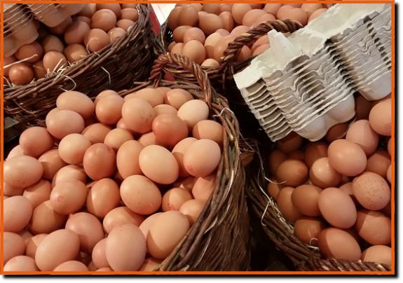 Eier aus Bio, Freiland und Bodenhaltung